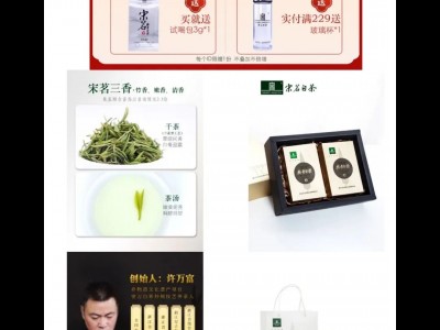 浙江安吉白茶行业榜首白茶“白茶”迷惑性大