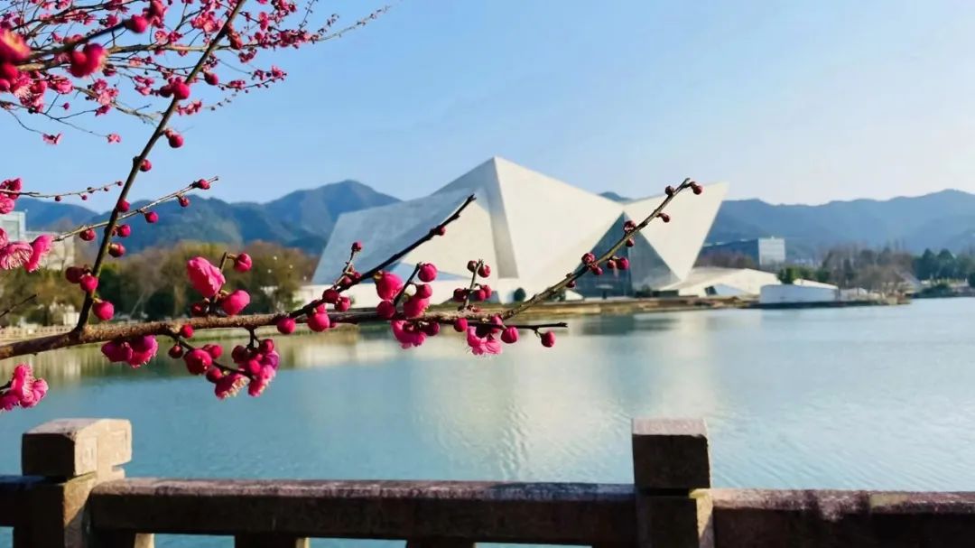 浙江科技学院安吉校区后勤电话_安吉浙江科技学院几本_安吉学院学生信息平台