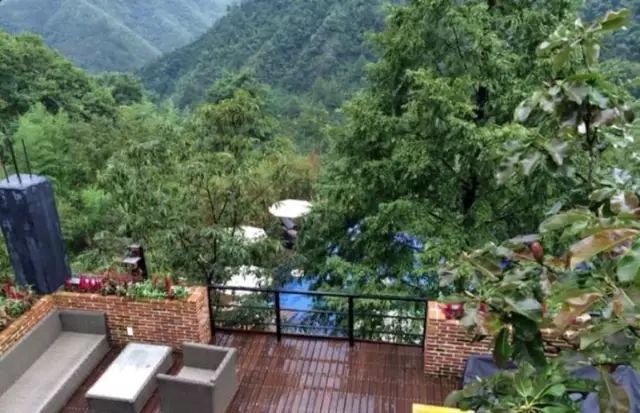 安吉老树林别墅酒店_老树林度假别墅 安吉_安吉老树林度假酒店