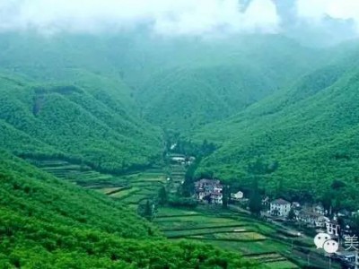 安吉“七山一水二分田”，一路向上20分钟