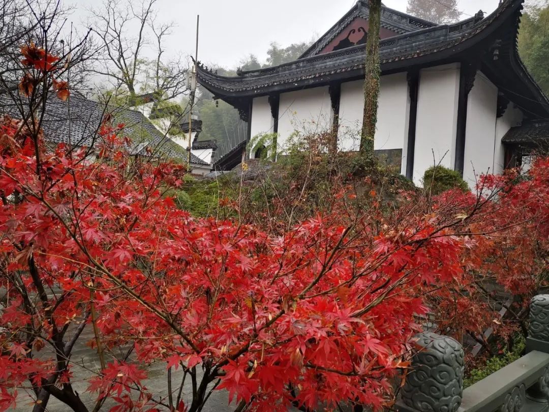 安吉酒店_安吉精品酒店_安吉新开的酒店