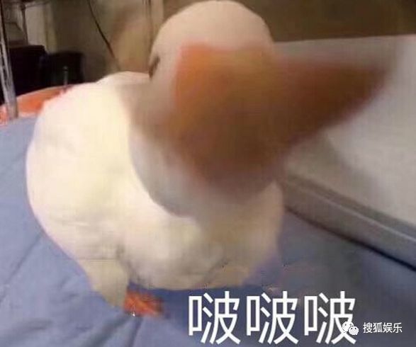 安吉小鱼儿图片_安吉小鱼儿长大视频_小鱼儿和安吉的综艺节目