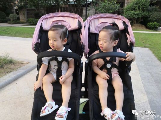 安吉小鱼儿图片_安吉小鱼儿长大视频_小鱼儿和安吉的综艺节目