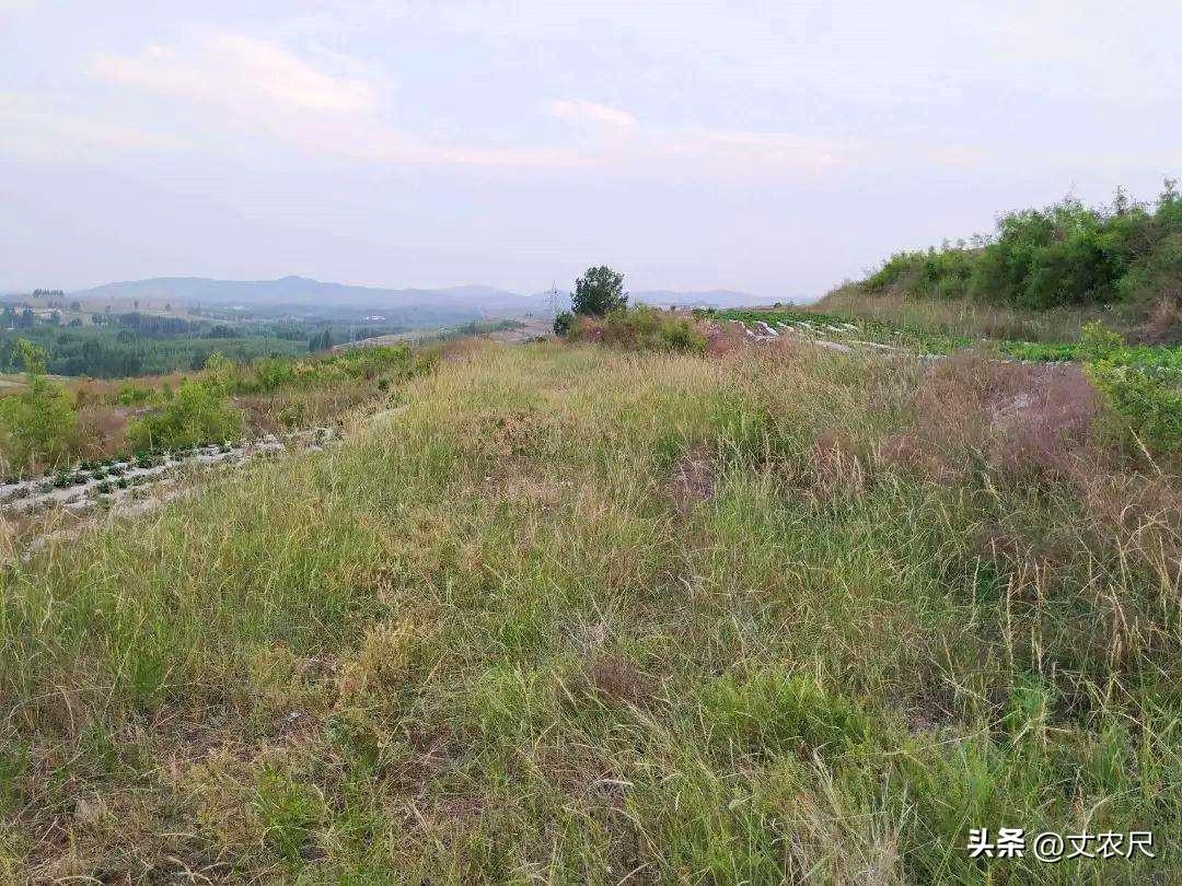 安吉农村房子出租转让_安吉农民房出租_安吉农民房长租