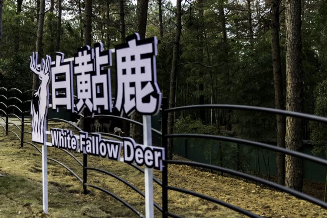 安吉百草园门票_安吉百草园景区_安吉百草园门票价格