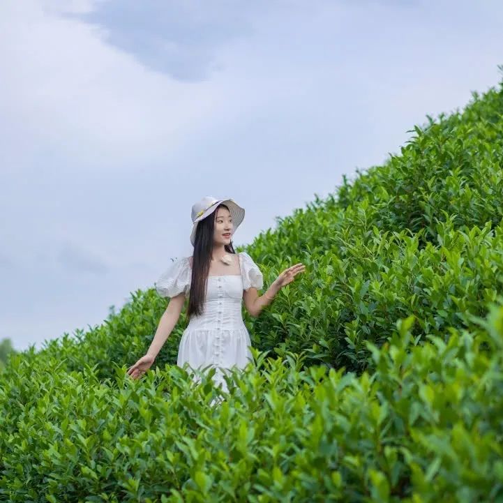 门票安吉百草园怎么买_门票安吉百草园多少钱_安吉百草园门票