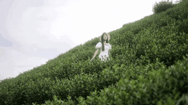门票安吉百草园多少钱_门票安吉百草园怎么买_安吉百草园门票