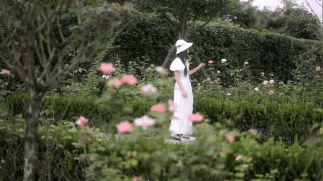 门票安吉百草园怎么买_门票安吉百草园多少钱_安吉百草园门票