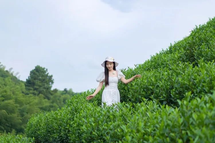 门票安吉百草园多少钱_安吉百草园门票_门票安吉百草园怎么买