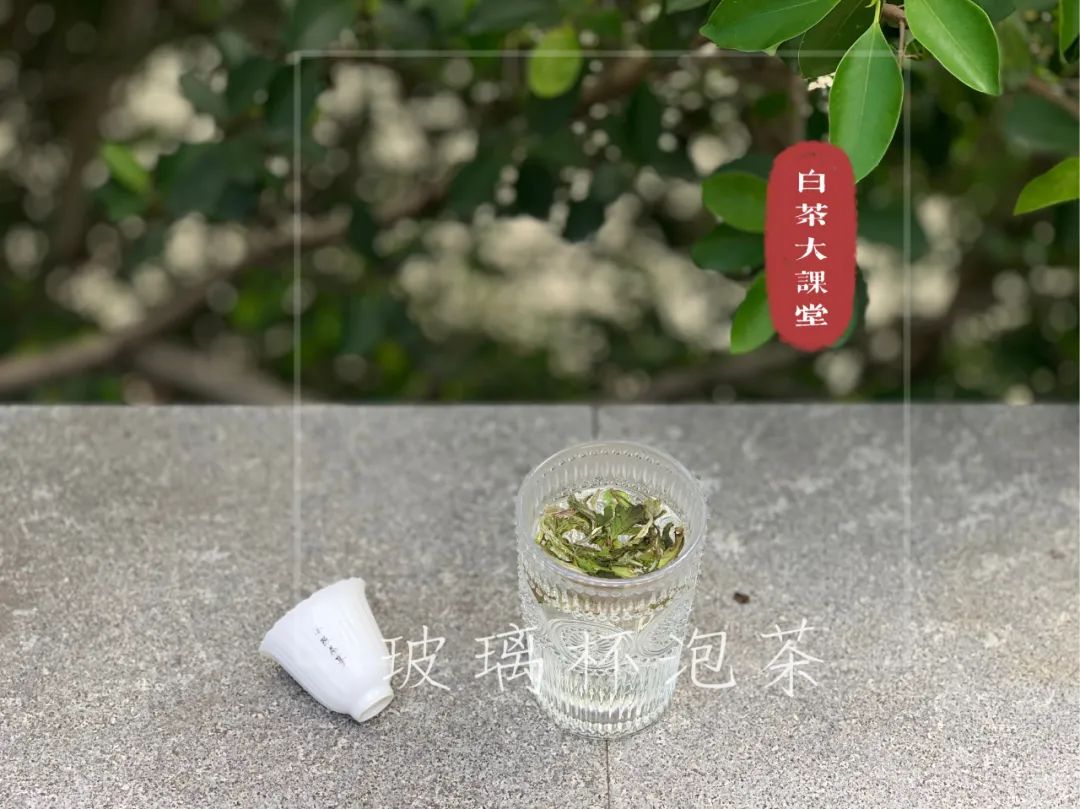 常喝安吉白茶_安吉白茶怎么泡好喝_喝安吉白茶好处
