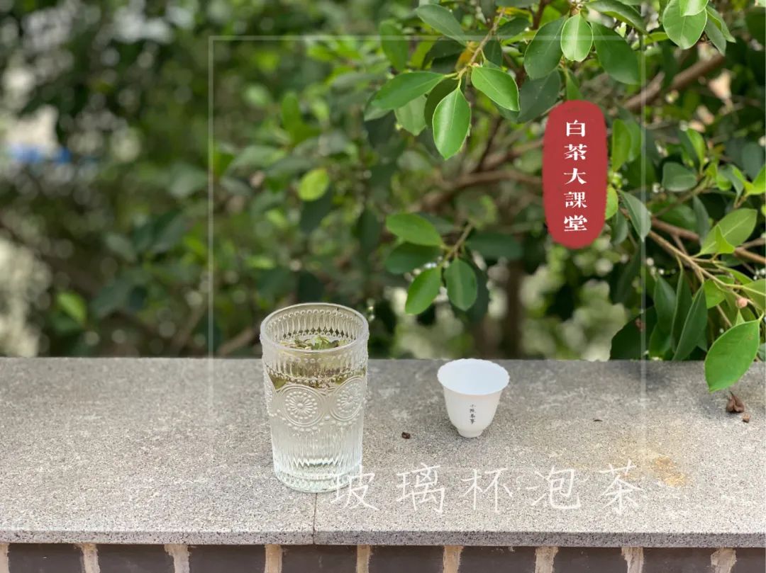 常喝安吉白茶_喝安吉白茶好处_安吉白茶怎么泡好喝