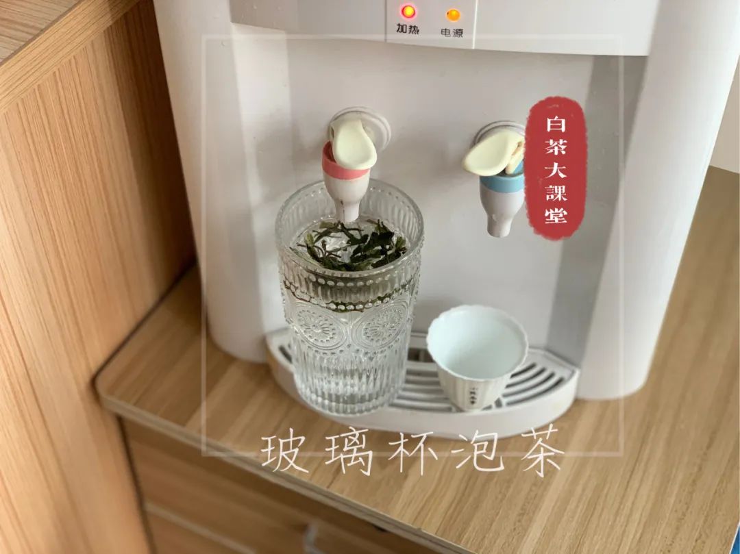喝安吉白茶好处_安吉白茶怎么泡好喝_常喝安吉白茶