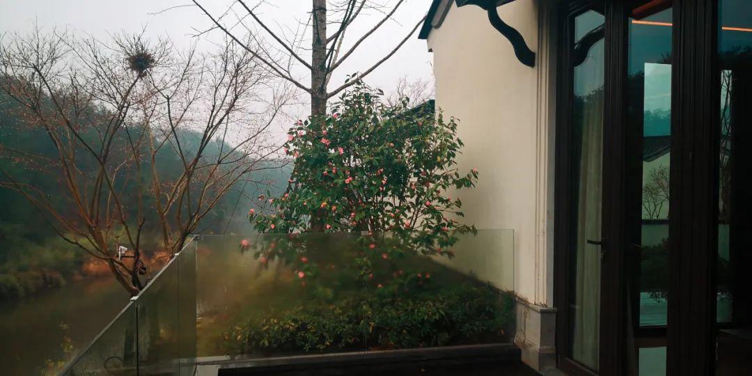 安吉小院出租_安吉别墅出租_出租别墅安吉哪里好