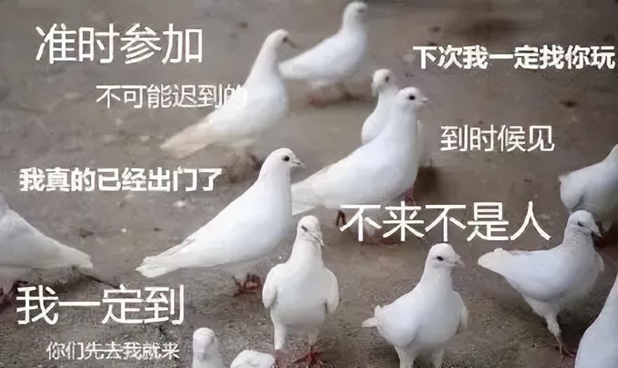 上海兴业房地产公司地址_上海兴业房地产_上海兴业房地产股份有限公司