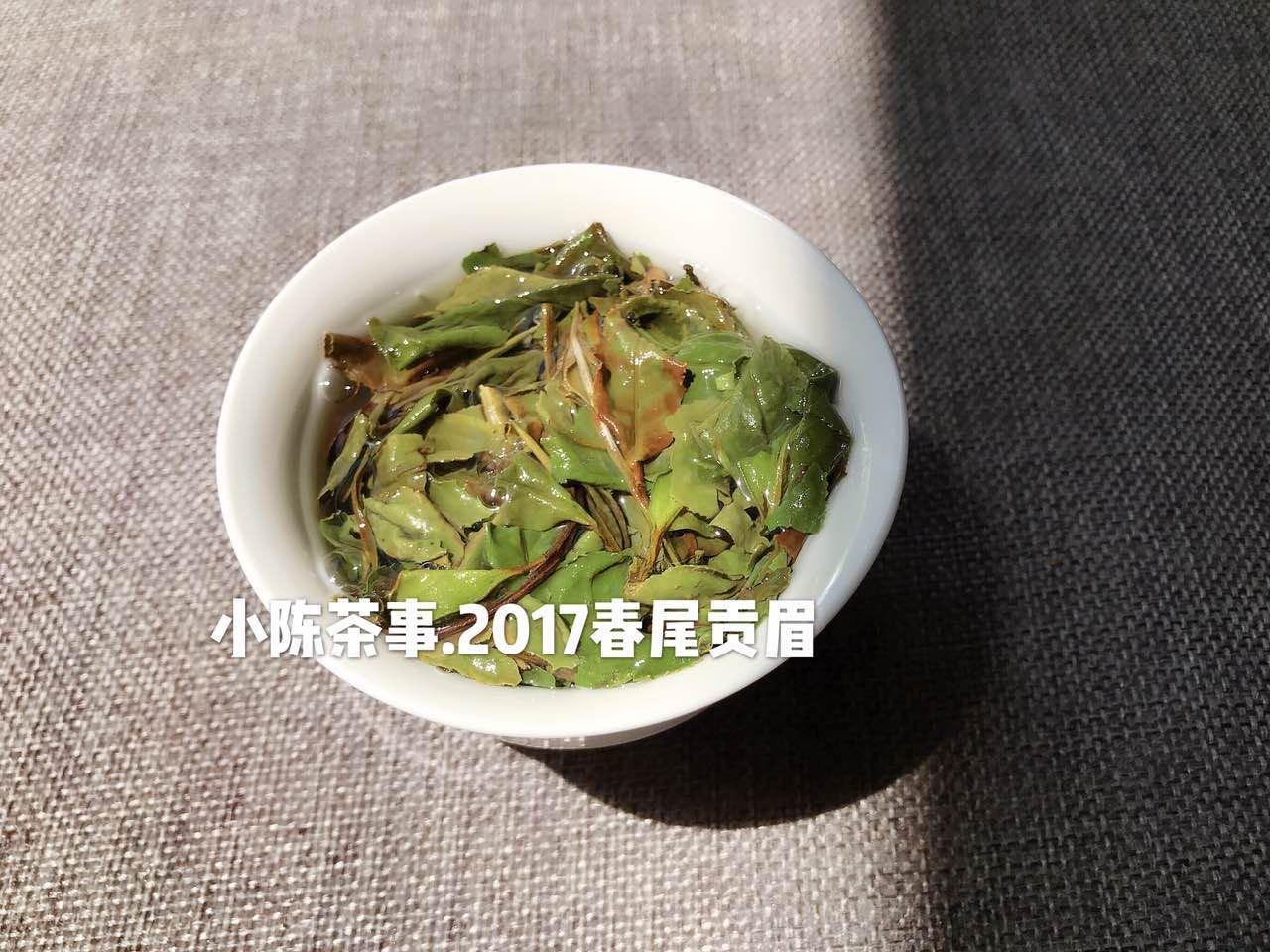 安吉白茶 白茶_白茶安吉和福鼎的区别_白茶安吉白茶的功效