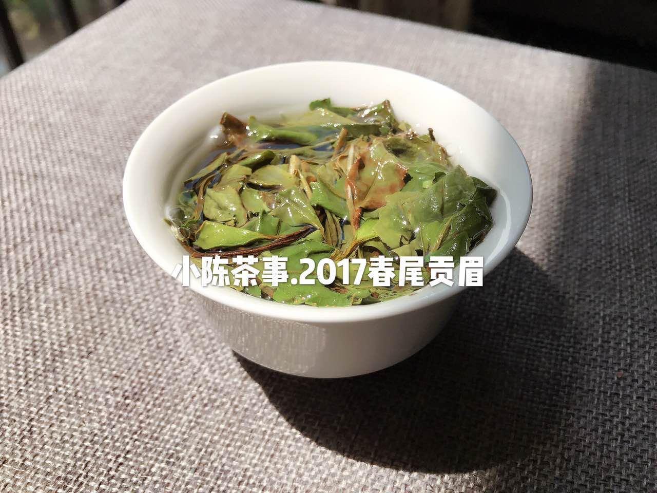 安吉白茶 白茶_白茶安吉和福鼎的区别_白茶安吉白茶的功效