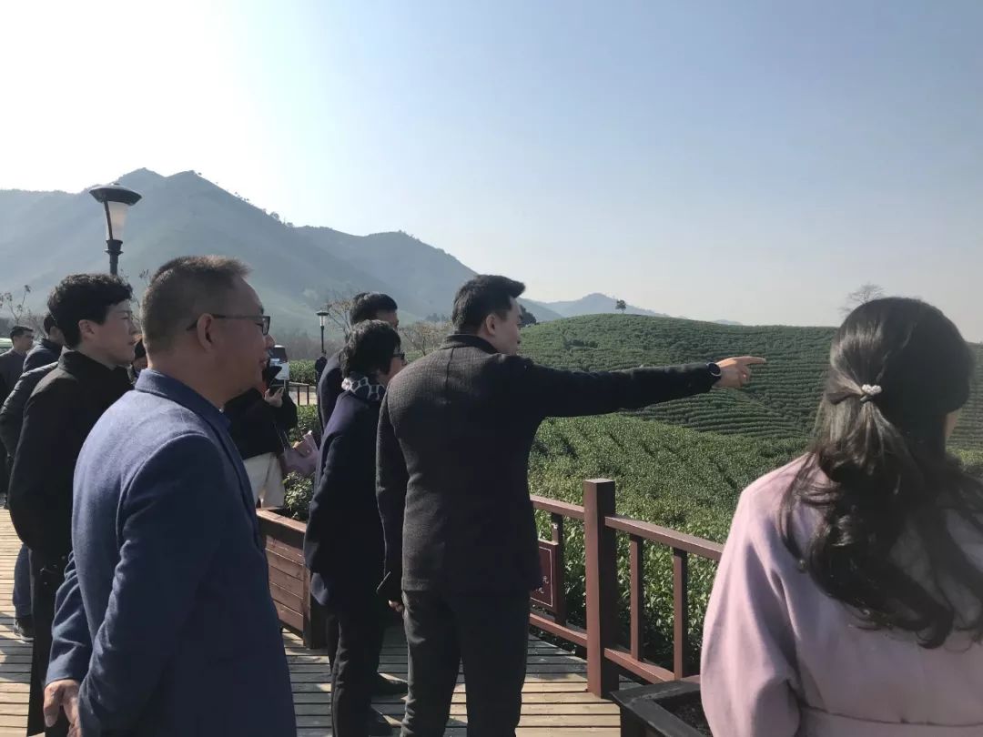 上海安吉自驾_上海至安吉自驾游_自驾上海安吉游玩攻略
