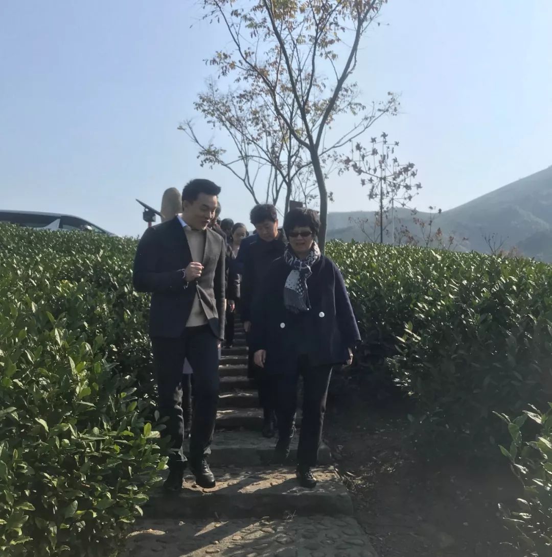 自驾上海安吉游玩攻略_上海安吉自驾_上海至安吉自驾游