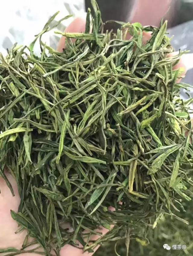 安吉白茶 白茶_白茶安吉特产多少钱一盒_白茶安吉多少钱一斤