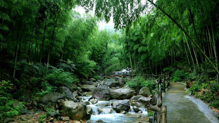 安吉民宿转让_安吉 度假村 转让_安吉农家乐转让出售