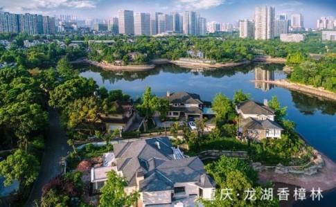 桐乡房地产发展历程_桐乡房地产开发商_嘉兴桐乡房地产