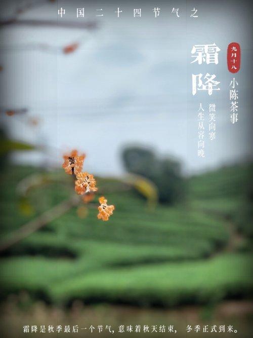 安吉白茶 白茶_白茶安吉特产多少钱一盒_白茶安吉特产礼盒装