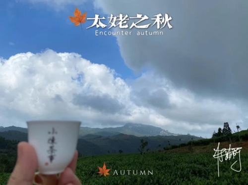 白茶安吉特产礼盒装_安吉白茶 白茶_白茶安吉特产多少钱一盒