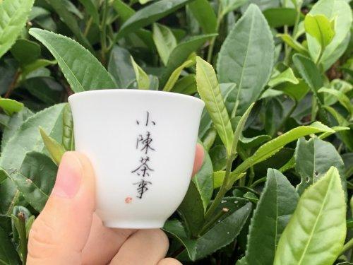 白茶安吉特产礼盒装_安吉白茶 白茶_白茶安吉特产多少钱一盒