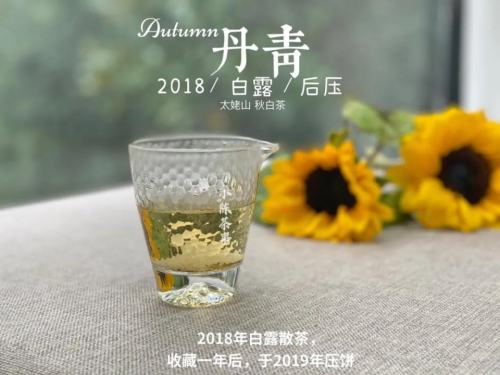 白茶安吉特产多少钱一盒_白茶安吉特产礼盒装_安吉白茶 白茶