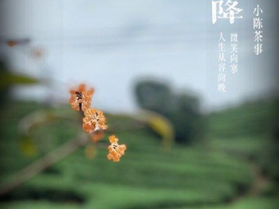 安吉白茶和福鼎白茶，有什么区别？两者之间的区别