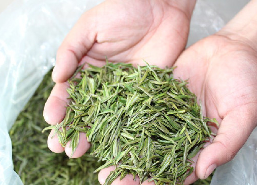 白茶安吉白茶价格_安吉白茶 白茶_白茶安吉特产多少钱一盒