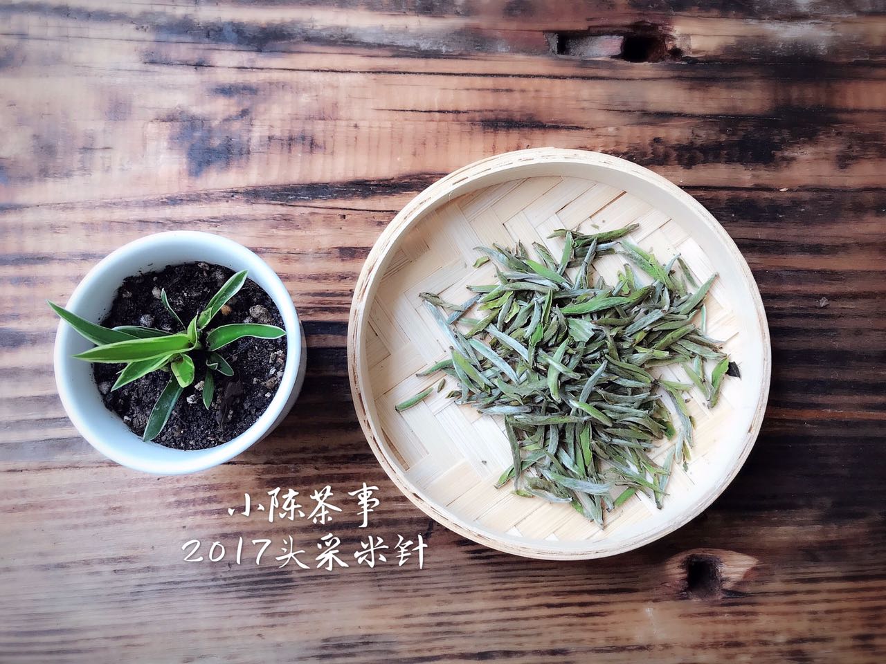 安吉白茶 白茶_白茶安吉特产多少钱一盒_白茶安吉白茶价格
