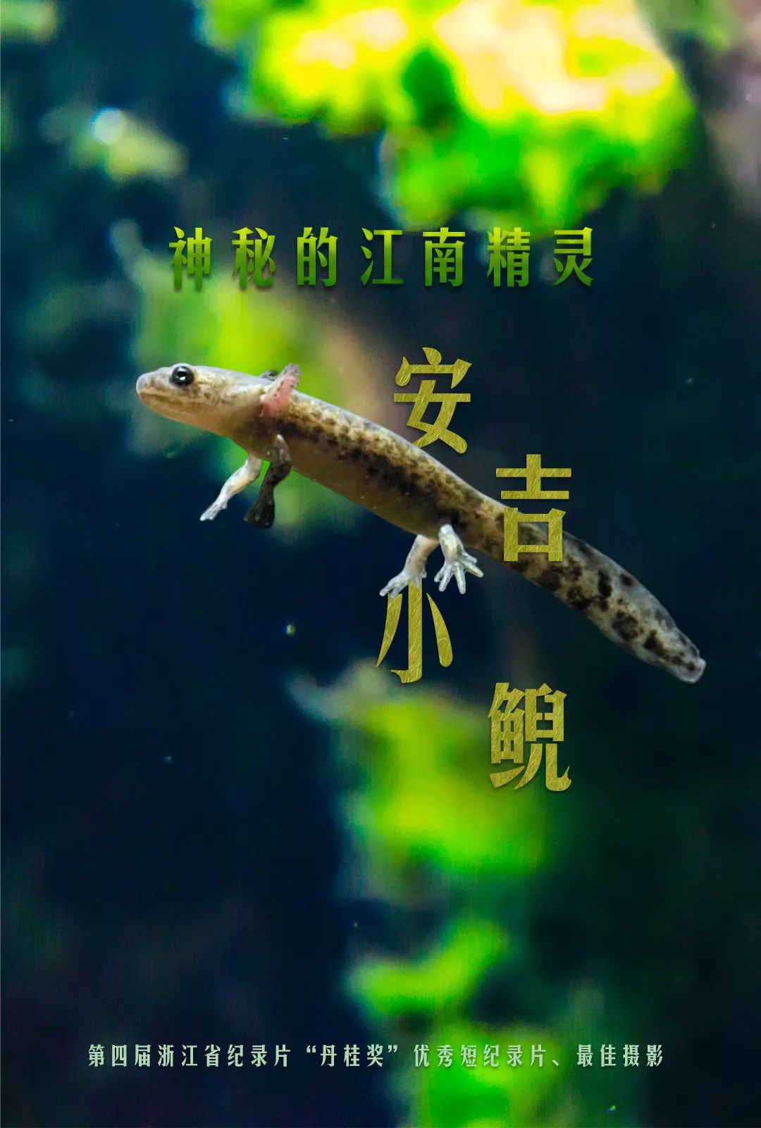 戛纳影视安吉城演员表_安吉戛纳影视城项目_安吉戛纳影视城