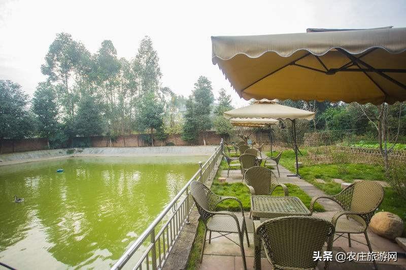 安吉钓鱼农家乐_安吉钓鱼_安吉钓鱼民宿