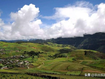 城里人憋不住地开始往农庄跑了！