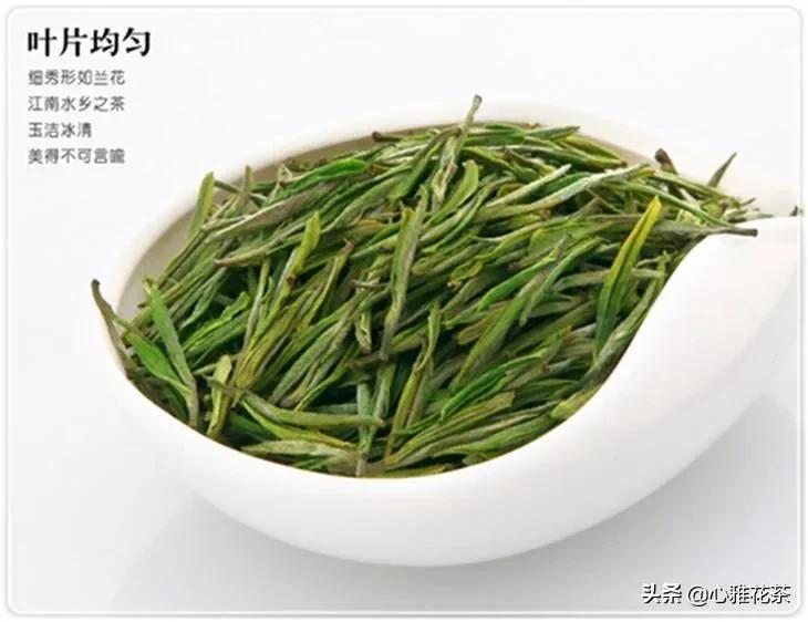 安吉白茶制作技艺_安吉工艺制作白茶怎么样_安吉白茶制作工艺