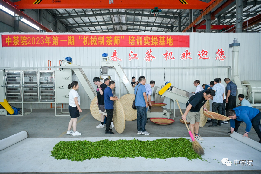 安吉吧自动茶叶机_安吉白茶的制茶机_安吉茶叶机器生产厂家