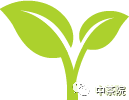 安吉茶叶机器生产厂家_安吉吧自动茶叶机_安吉白茶的制茶机