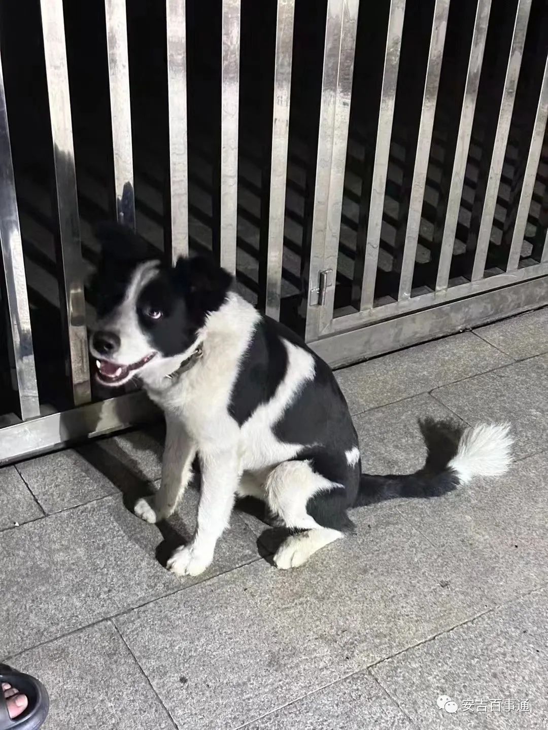 安吉二手房信息_安吉房产网二手房出售_安吉房价二手房