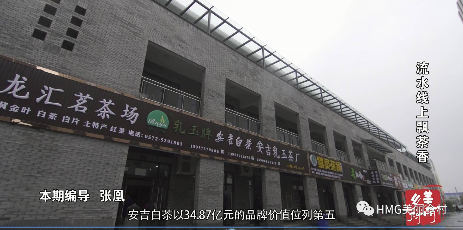 安吉茶叶机器生产厂家_安吉白茶的制茶机_安吉吧自动茶叶机