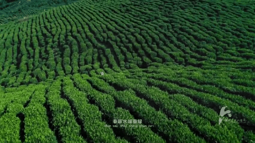 旅游攻略安吉_路线安吉最佳旅游季节_安吉旅游最佳路线