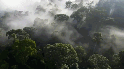 路线安吉最佳旅游季节_旅游攻略安吉_安吉旅游最佳路线