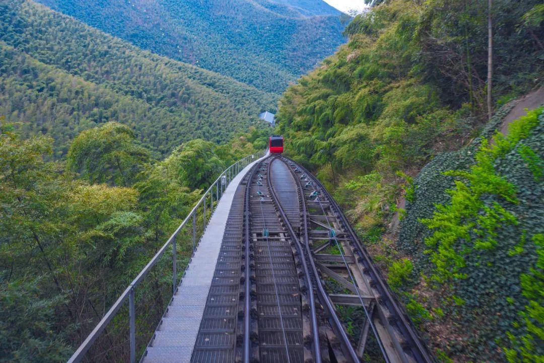 旅游攻略安吉_路线安吉最佳旅游季节_安吉旅游最佳路线
