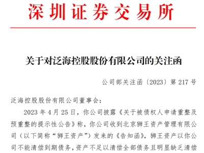 深交所质疑泛海控股向法院提出预重整方案程序