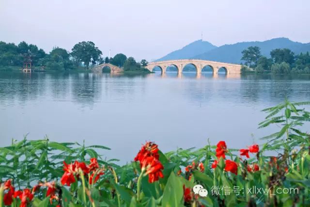 安吉荷花塘小区_安吉荷花山 酒店_安吉荷花山景区