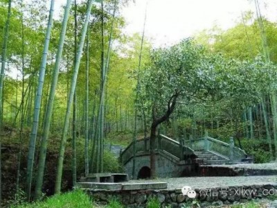安吉荷花山竹海杭州湘湖星海国际酒店含餐二日价格