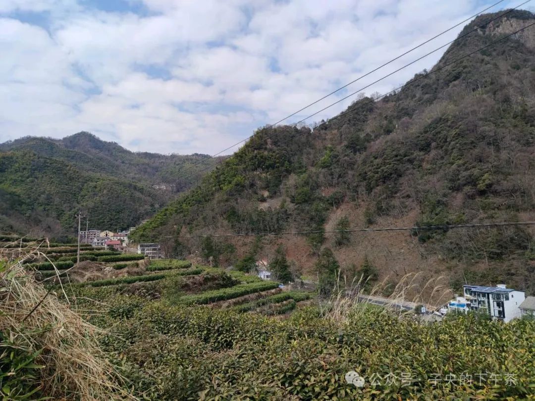 安吉荷花塘村_安吉荷花塘小区_安吉荷花山 酒店