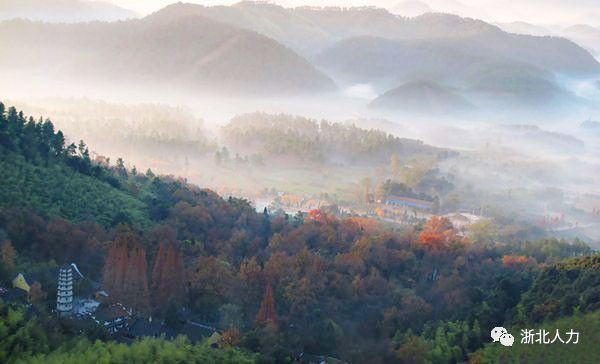 安吉凤凰山森林公园_安吉凤凰山公园门票_安吉凤凰山国家森林公园