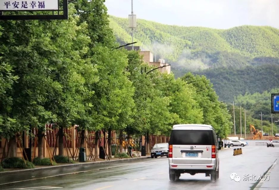 安吉凤凰山森林公园_安吉凤凰山公园门票_安吉凤凰山国家森林公园