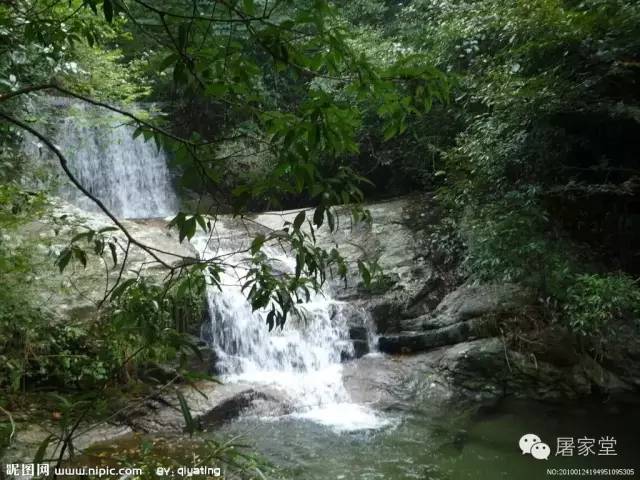 安吉凤凰山森林公园_安吉凤凰山公园门票_凤凰山安吉